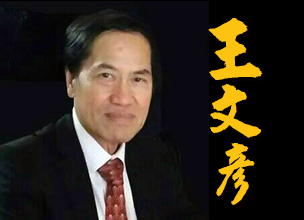 王文彦 指點江山