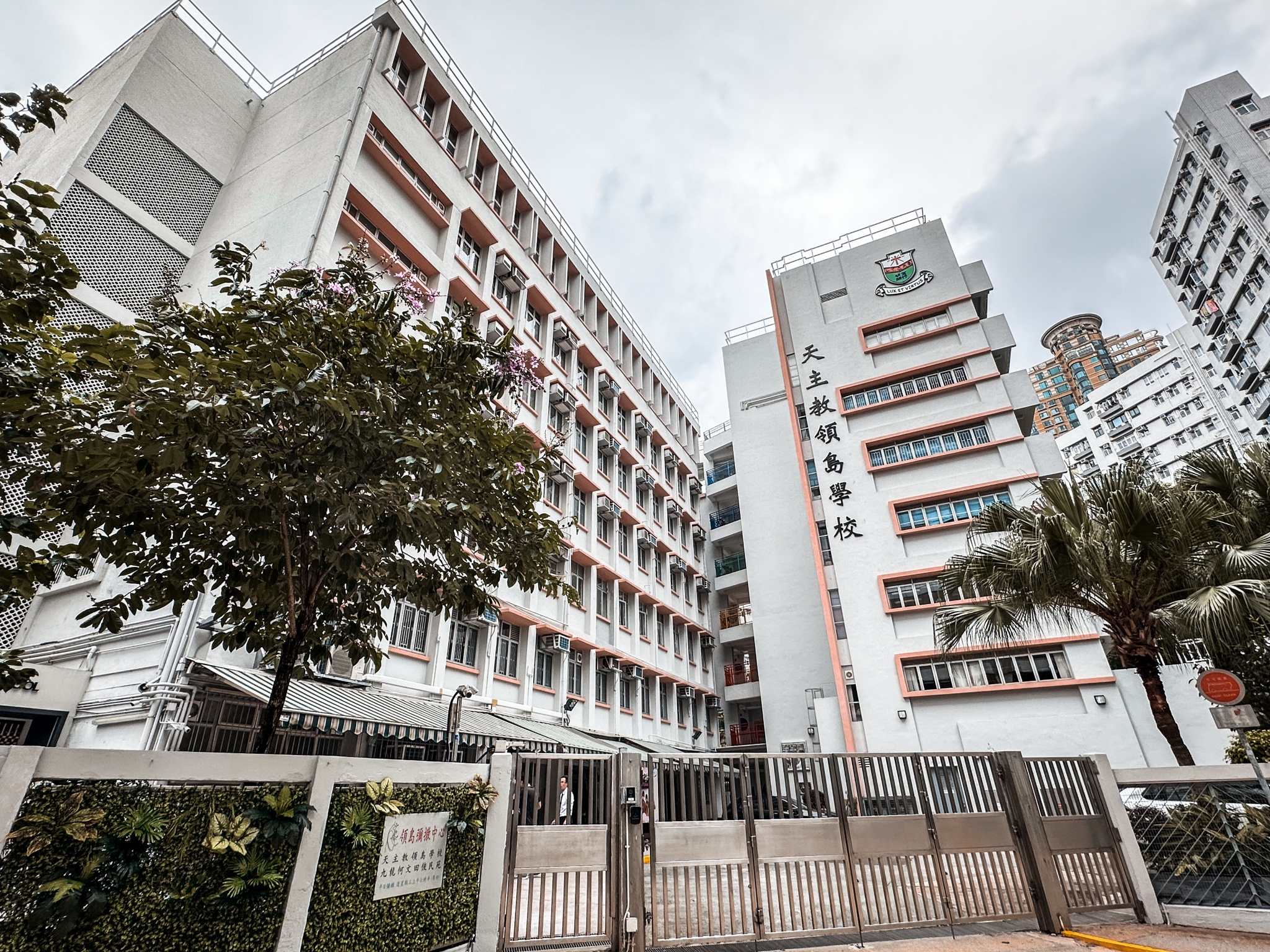 九龍區名校攻略34校網小學排名及屋苑 天主教領島學校