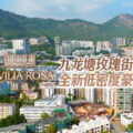 Aerial city view with green hills in the background overlaid with Pavilla Rosa branding and Chinese text promoting a new low density luxury home development