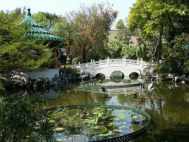 Chinese garden scene with a white arched bridge over a pond and a teal roof pavilion among trees