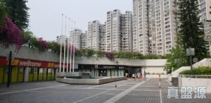 Public plaza in front of tall apartment blocks with pink flowering vines and a row of Wellcome storefronts a few people walk nearby