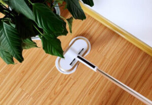 Flat mop head cleaning a light wood floor near a leafy potted plant in a home setting