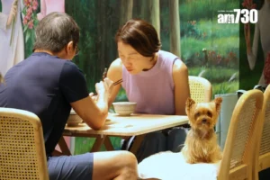 Couple dining at a wooden table while a small dog sits on a chair nearby looking at the camera