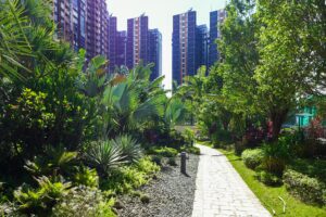 6 | 利嘉閣地產有限公司